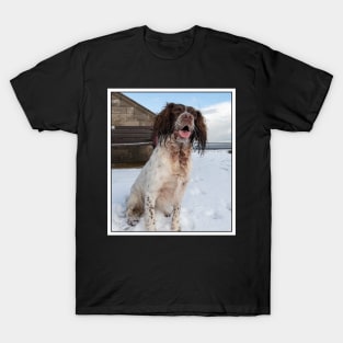 English Springer Spaniel sitting T-Shirt